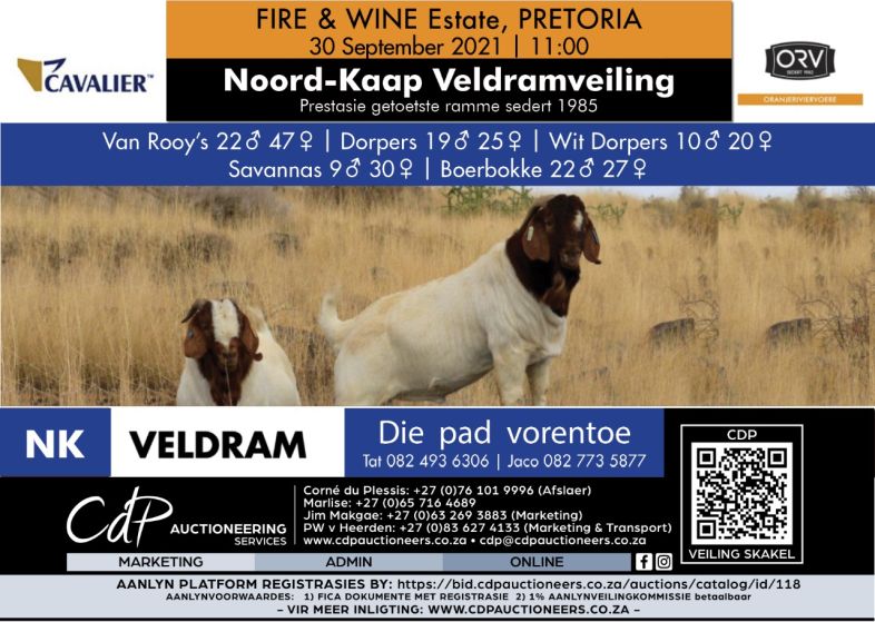 PRETORIA Veldramveiling 2021